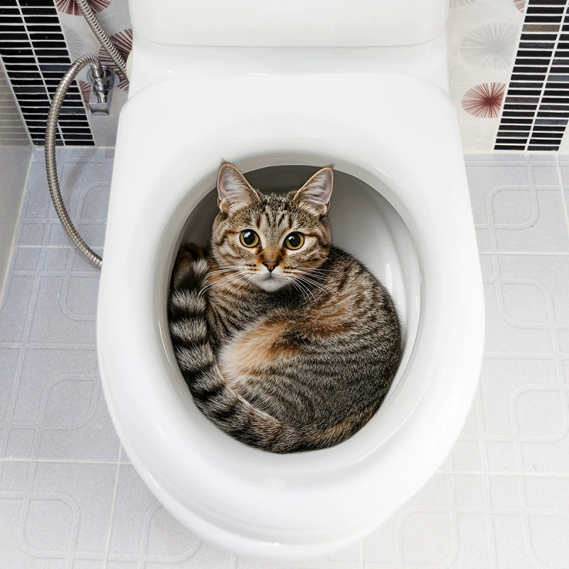 Stiker Toilet Kucing Lucu 3D S - Jet Home Bathroom Accessories ulasan dan harga